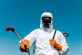 Real Estate Pest Inspections in Elmwood Park, NJ